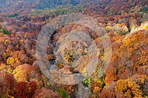 Autumn foliage scenery. Aerial view of valley and stream in fall season.