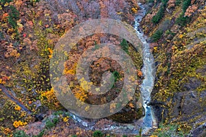 Autumn foliage scenery. Aerial view of valley and stream in fall season.