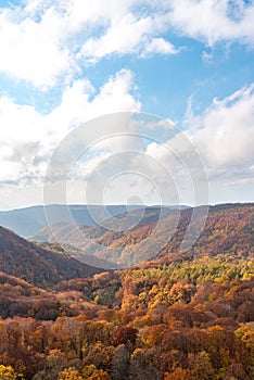 Autumn foliage scenery. Aerial view of valley and stream in fall season.