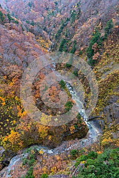 Autumn foliage scenery. Aerial view of valley and stream in fall season.