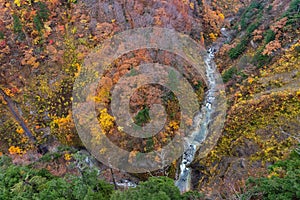 Autumn foliage scenery. Aerial view of valley and stream in fall season.