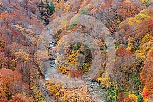 Autumn foliage scenery. Aerial view of valley and stream in fall season.