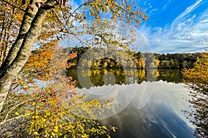 Autumn Foliage Shines Around Georgia Lake Against Cobalt Blue Sky