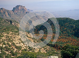 Autumn foliage from the summit of Emory Peak, Big Bend National park, Texas