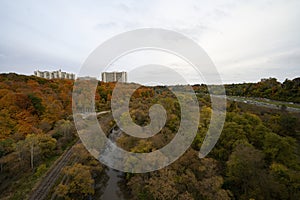 Autumn foliage surrounded by sunlight during the fall season in Toronto, Ontario, Canada.