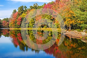 Autumn foliage tree reflections in pond