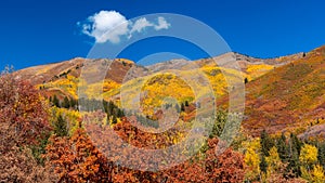 Autumn foliage at Wasatch mountain state park in Utah