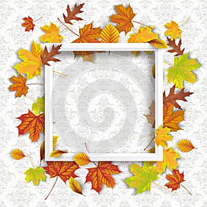 Autumn Foliage White Frame Ornaments Wallpaper