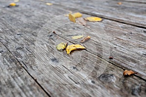 Autumn foliage on a wooden background.