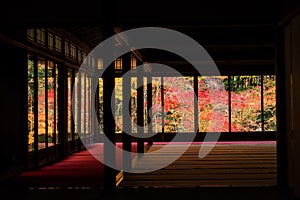 Autumn foliages view from Tenju-an, Kyoto