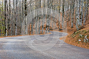 Autumn in Forca D`Acero, Abruzzo National Park, Italy photo