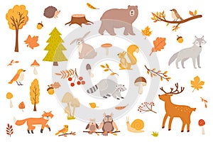 Autumn forest with animal isolated objects set. Collection of fall trees and leaves, mushrooms, bear, wolf, squirrel, raccoon,