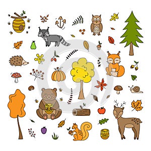 Autumn forest animal vector collection