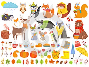 Autumn forest animals. Fall squirrel, funny bear and cute autumnal fox. Fallen leaves cartoon vector set