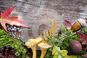 Autumn forest background with mushrooms, leaves and moss on old wooden board