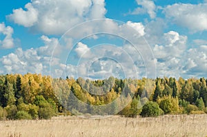 Autumn forest and blue sky