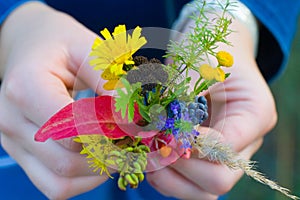 Autumn forest bouquet in child hand