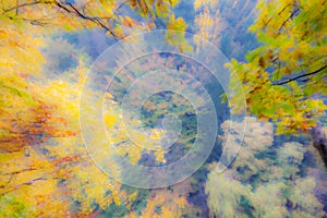 Autumn forest on a bright sunny day. Abstract photo. Colorful textured background. long shutter speed