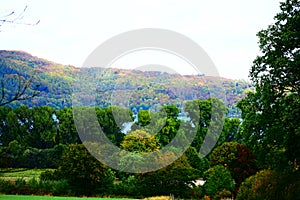 autumn forest and caldera lake Laacher See