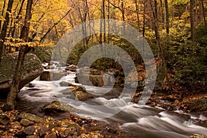 Autumn Forest Cascade