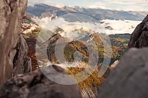 Autumn forest in the cerna mountains, panoramic view