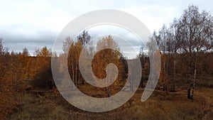 Autumn forest on cloudy day. Kazan, Russia