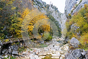 Autumn and colorful trees and leaves, waterfall,forest photo