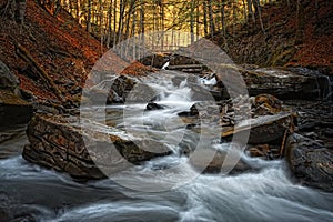 Autumn Forest With Creek