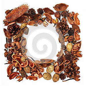 Autumn Forest of dried flowers and pine cones frame on table, the forest template with space for text. Autumn collage isolated