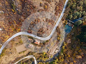 Autumn forest drone aerial shot, Overhead view of foliage trees and road