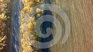 Autumn forest drone aerial shot, Overhead view of foliage trees and road