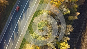 Autumn forest drone aerial shot, Overhead view of foliage trees and road