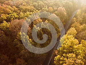 Autumn forest drone aerial shot, Overhead view of foliage trees and road