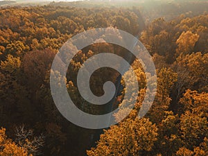 Autumn forest drone aerial shot, Overhead view of foliage trees