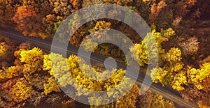 Autumn forest drone aerial shot, Overhead view of foliage trees and road