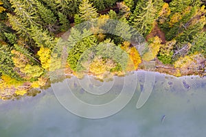 Autumn forest edge and lake