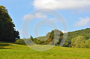 Autumn forest fall nature