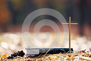 Autumn forest with falling leaves The cross of Jesus Christ and the Bible