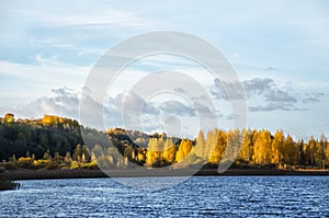 Autumn forest with golden foliage and blue lake. Sunny day and cloudy blue sky.