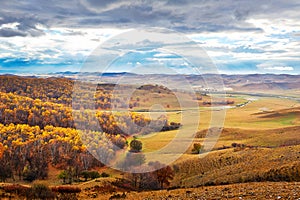 Autumn forest and grassland