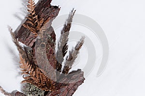 Autumn forest harvest - yellow dry leaf fern, moss, piece of brown pine bark, grass stems on white wood board, top view.