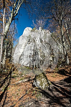 Autumn forest with hiking trail, fallen leaves, isolated sandstone rock and clear sky in Sulovske skaly mountains in Slovakia