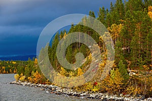 Autumn forest on the hillside by the lake