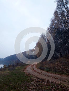 Autumn forest in Kharkiv. Narrow path.