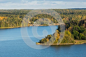 Autumn forest on the lake