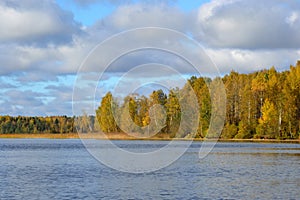 Autumn forest on the lake at morning.