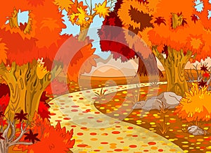 Autumn Forest Landscape