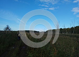 Autumn. forest landscape. Blue sky and trees with yellow leaves and no leaves. Horizon. natural background of Russia