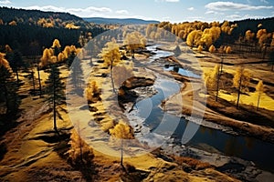 Autumn forest landscape, orange golden foliage, fall wallpaper, AI Generated