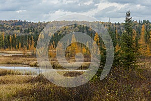 Autumn forest landscape under stormy clouds in Algonquin Park